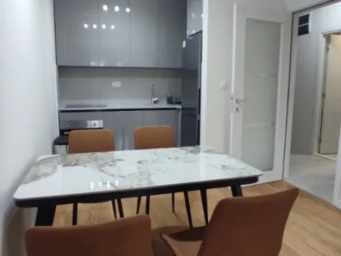 Izdavanje, jednosoban stan, 47m², Central Point, Podgorica - image 9