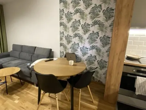 Izdavanje, jednosoban stan, 40m², Telep, Novi Sad Sve Podlokacije - image 2