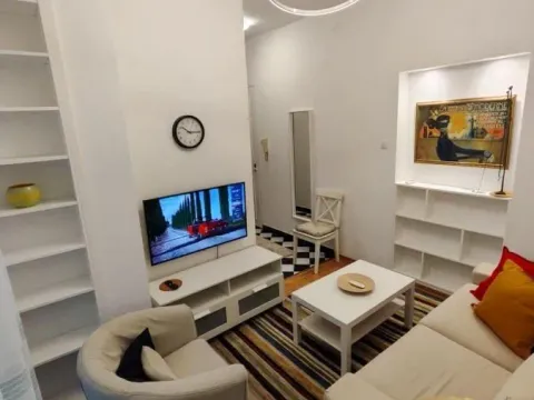 Izdavanje, dvosoban stan, 44m², Vračar Sve Podlokacije, Beograd - image 2