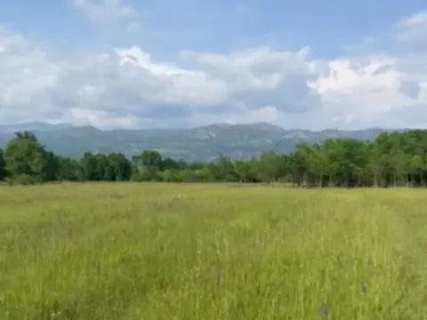 Prodaja, plac, 5554m², Jastreb, Danilovgrad - image 3