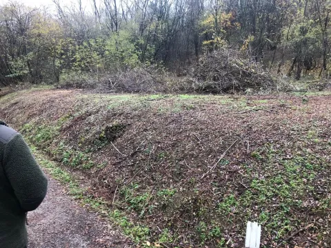 Prodaja, plac, 1000m², Grocka, Beograd - image 2