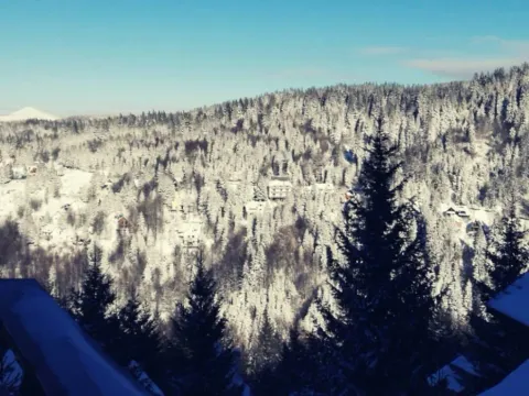 Prodaja, kuća, 100m², Kopaonik, Srbija - image 12