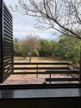 Pogled sa terase na zeleno dvorište i drveće. - image 15