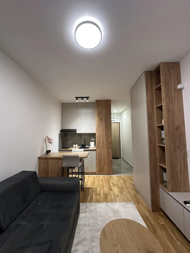 Rent, studio apartment, 26m², Zabjelo, Podgorica