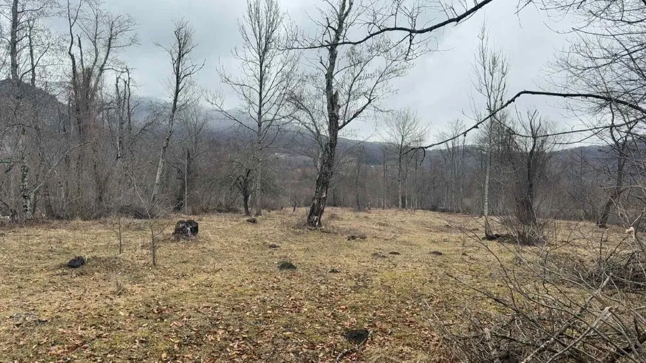 Prodaja, plac, 6500m², Kolašin, Crna Gora