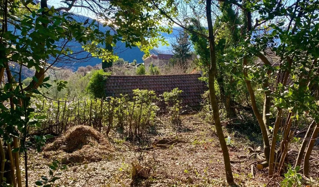 Prodaja, plac, 114m², Tivat, Crna Gora