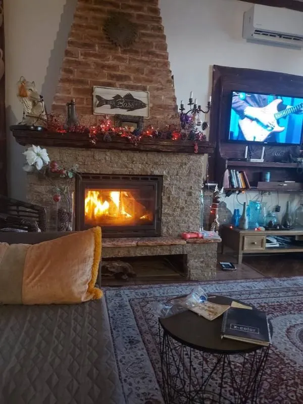 Living room with a wood-burning fireplace and a TV.
