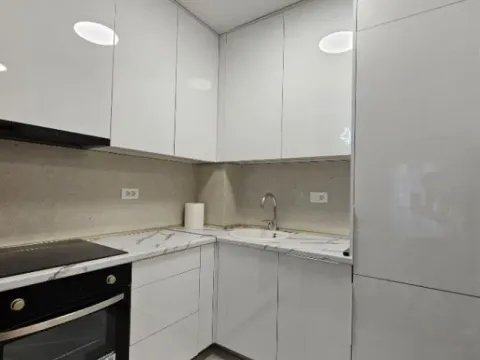 Izdavanje, jednosoban stan, 43m², Central Point, Podgorica - image 6