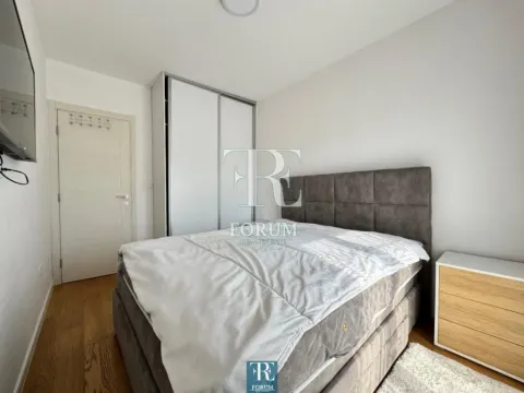 Izdavanje, jednosoban stan, 50m², Central Point, Podgorica - image 10