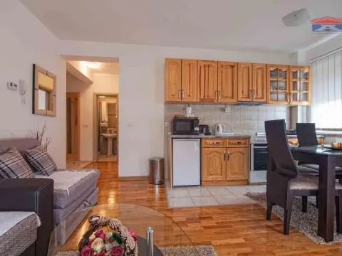 Izdavanje, jednosoban stan, 41m², Centar, Zlatibor - image 3