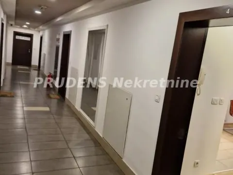 Izdavanje, dvosoban stan, 50m², Vračar Sve Podlokacije, Beograd - image 8