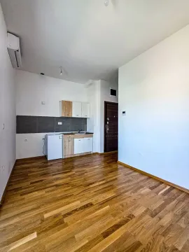 Rent, one bedroom apartment, 59m², Central Point, Podgorica - image 853