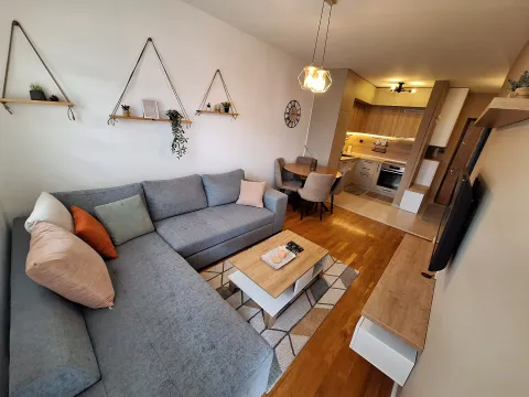 Rent, one bedroom apartment, 39m², Zabjelo, Podgorica - image 1