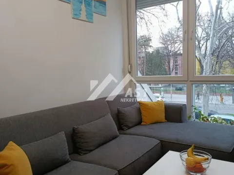 Rent, apartment, 30m², Adamovićevo Naselje, Novi Sad Sve Podlokacije - image 1