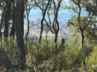 Sale, house, 174m², Župci, Bar - image 15