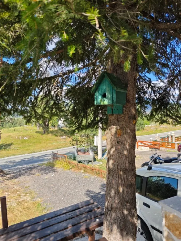 Prodaja, kuća, 95m², Borje, Žabljak