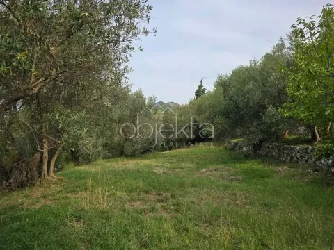 Prodaja, plac, 2997m², Kotor, Crna Gora - image 4