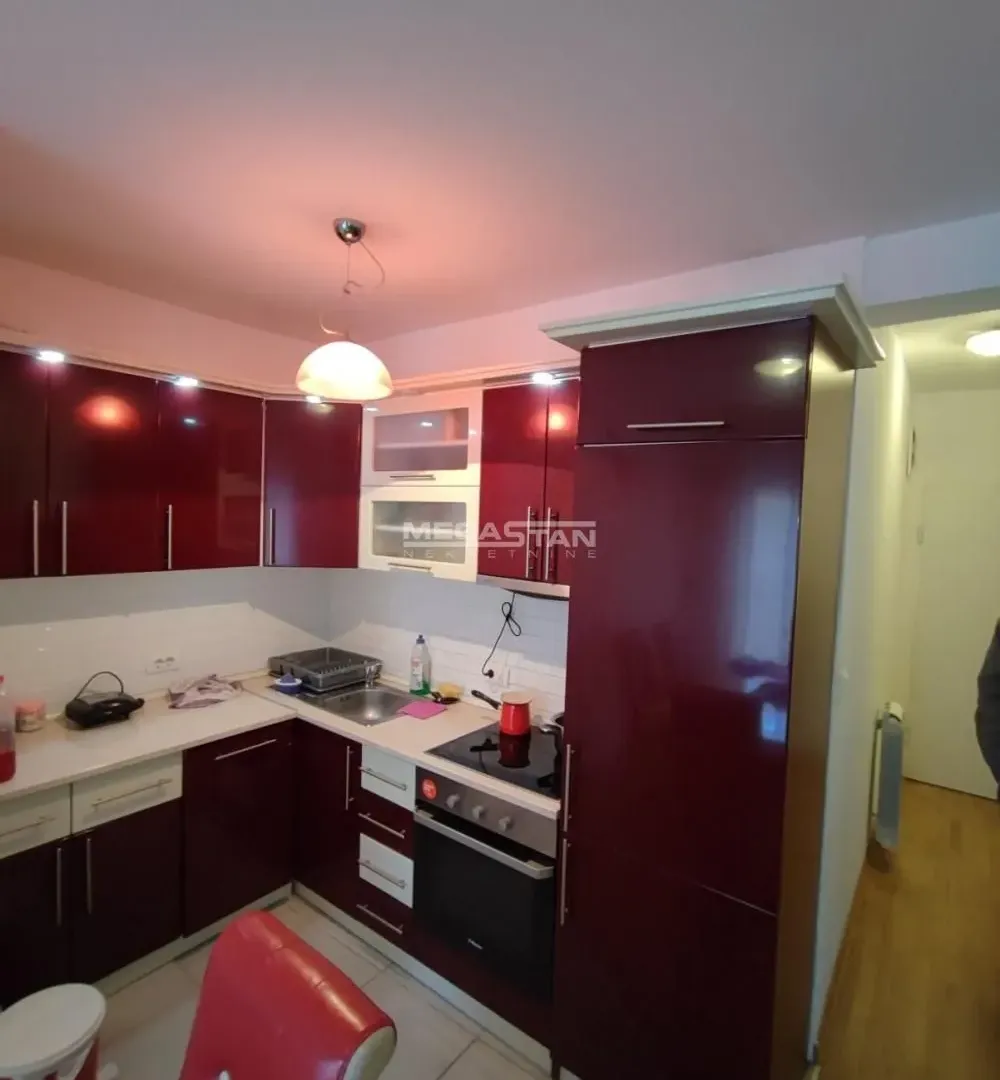 Izdavanje, dvosoban stan, 57m², Profesorska Kolonija, Palilula Sve Podlokacije