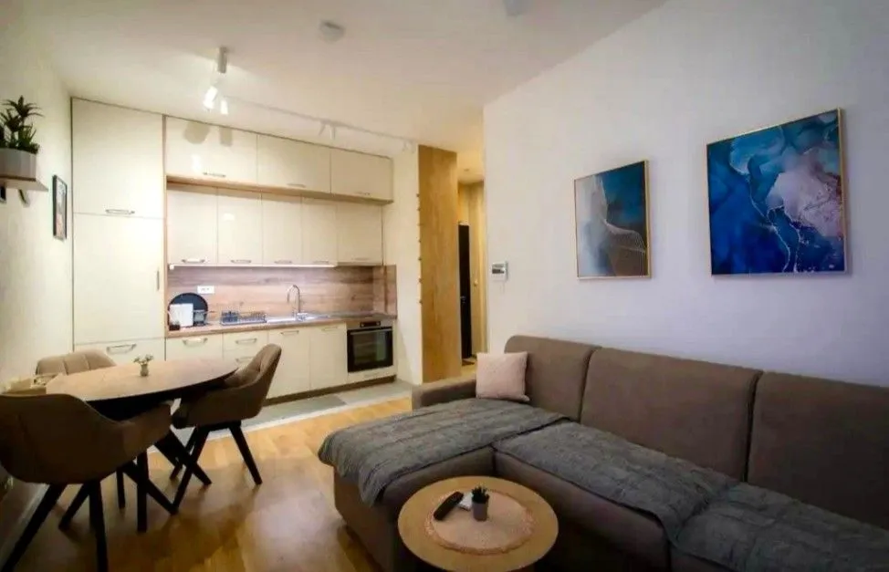 Izdavanje, jednosoban stan, 45m², Tološi, Podgorica