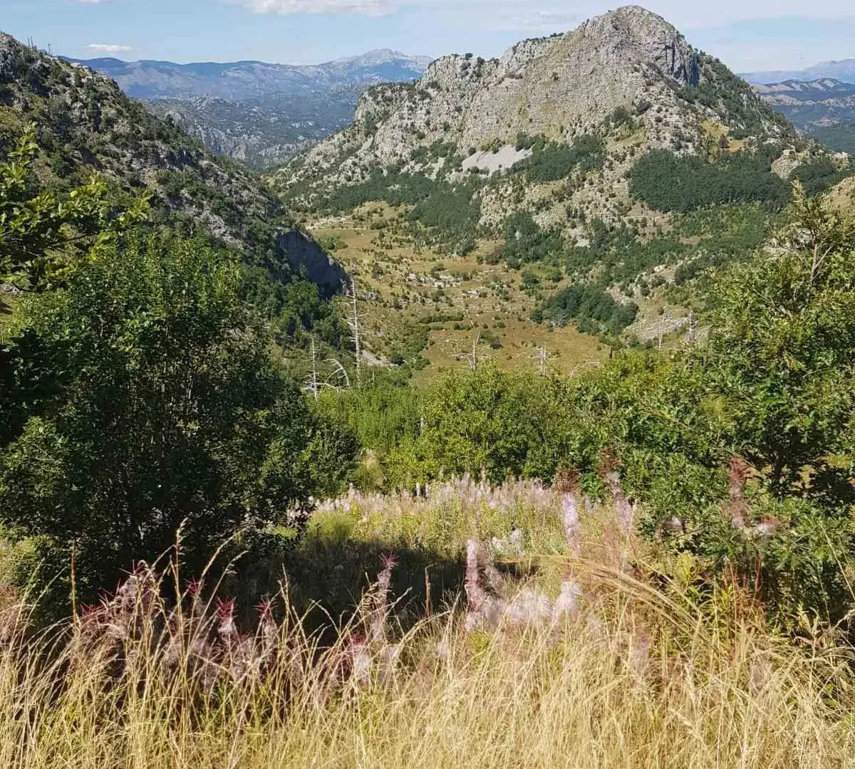 Prodaja, plac, 725000m², Podgorica, Crna Gora