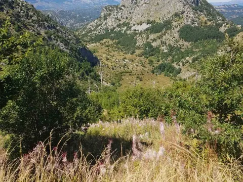 Prodaja, plac, 725000m², Podgorica, Crna Gora - image 10