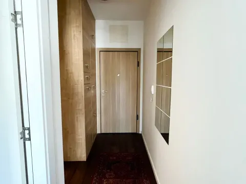 Rent, one bedroom apartment, 50m², Vezirov Most, Podgorica - image 7