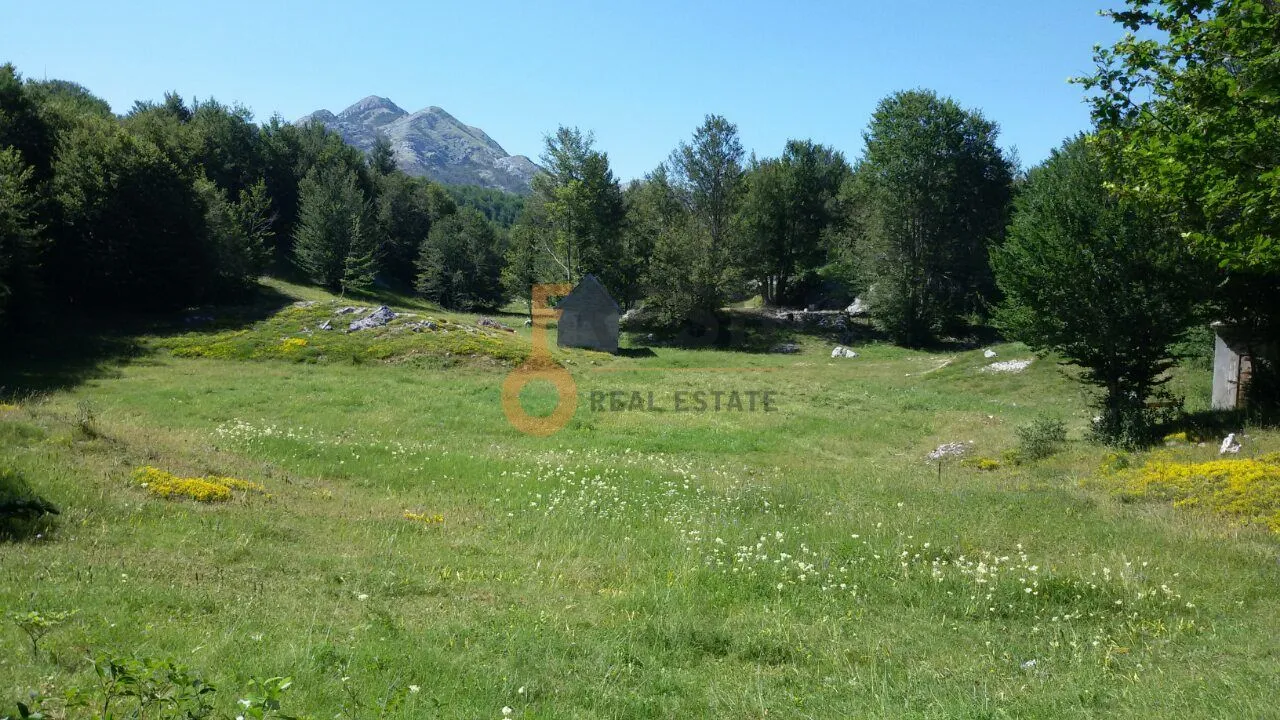 Prodaja, plac, 100000m², Cetinje, Crna Gora