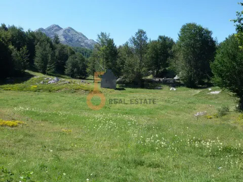 Prodaja, plac, 100000m², Cetinje, Crna Gora - image 18