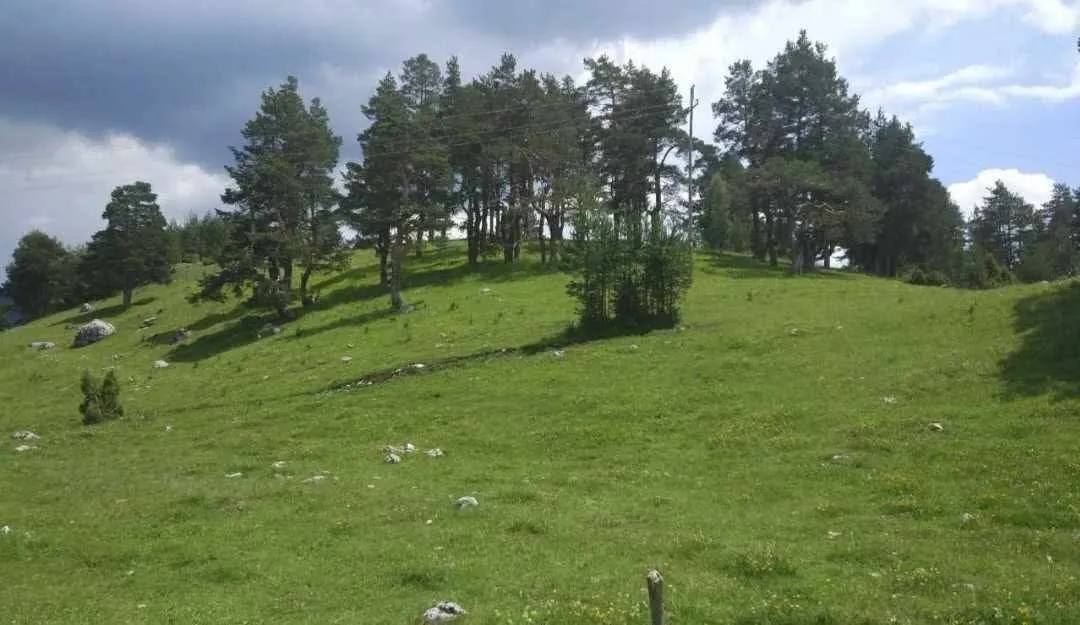 Prodaja, plac, 17000m², Žabljak, Crna Gora
