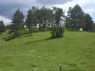 Prodaja, plac, 17000m², Žabljak, Crna Gora - image 7