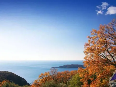 Prodaja, plac, 14551m², Tudorovići, Budva - image 5