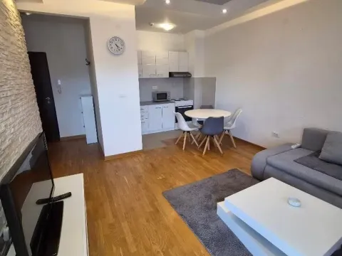 Rent, one bedroom apartment, 45m², Zagorič, Podgorica - image 7
