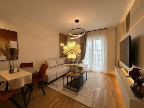 Rent, one bedroom apartment, 45m², Pobrežje, Podgorica - image 4