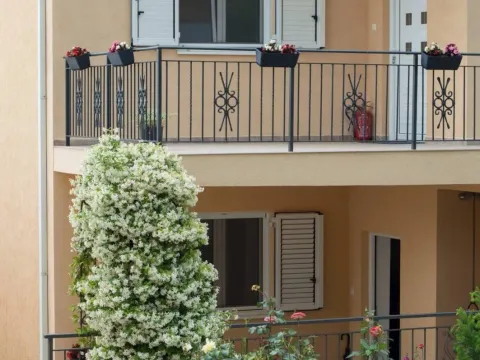 Prodaja, kuća, 169m², Kovači, Kotor - image 3