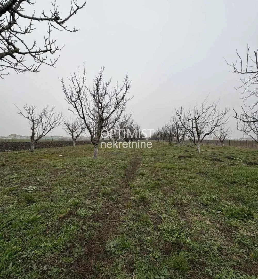 Prodaja, plac, 11000m², Zemun Ugrinovci, Zemun Sve Podlokacije