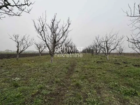 Sale, land lot, 11000m², Zemun Ugrinovci, Zemun Sve Podlokacije - image 14