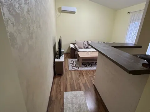 Rent, one bedroom apartment, 41m², Drač, Podgorica - image 4