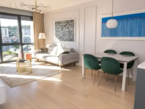 Izdavanje, jednosoban stan, 47m², Centar, Podgorica