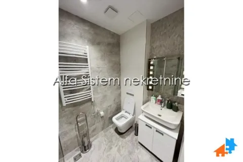 Izdavanje, dvosoban stan, 45m², Novi Beograd Sve Podlokacije, Beograd - image 10
