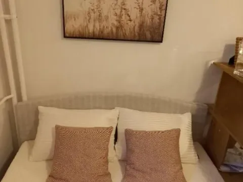 Rent, one bedroom apartment, 45m², Bulbulder, Zvezdara Sve Podlokacije - image 4