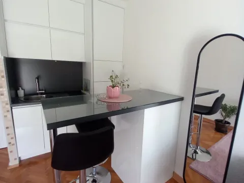 Izdavanje, garsonjera, 20m², Centar, Podgorica - image 1