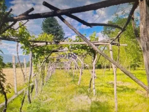 Prodaja, kuća, 150m², Danilovgrad, Crna Gora - image 9