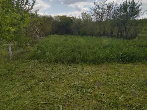 Sale, house, 130m², Taraš, Zrenjanin - image 19