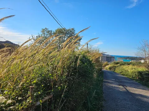 Prodaja, plac, 1574m², Bečići, Budva - image 4