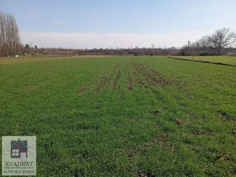 Prodaja, plac, 6300m², Urovci, Obrenovac - image 1