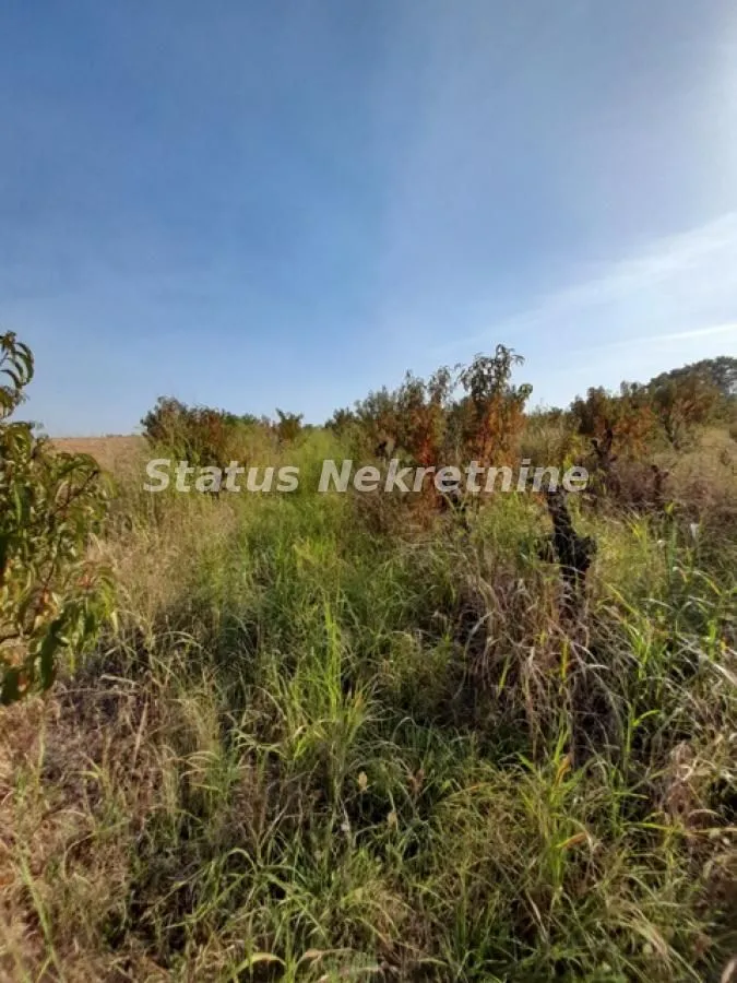 Prodaja, plac, 5000m², Sremski Karlovci, Novi Sad
