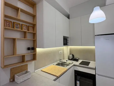 Izdavanje, jednosoban stan, 38m², Zabjelo, Podgorica - image 10