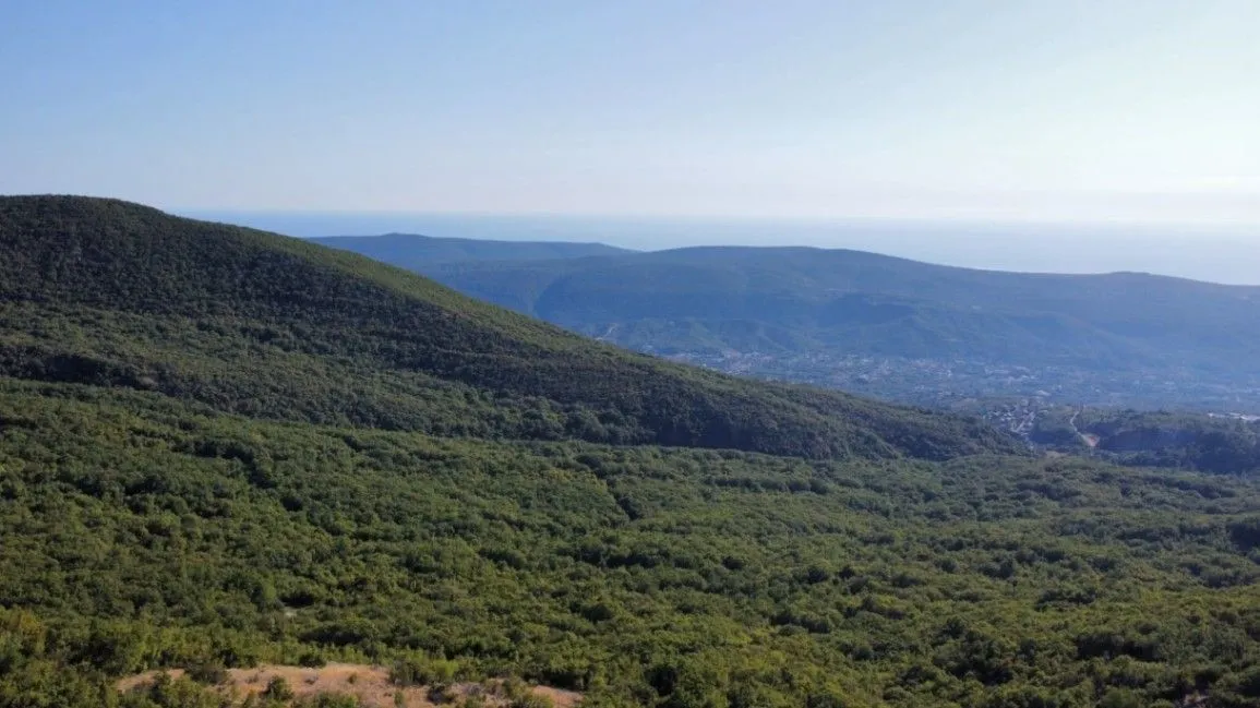 Prodaja, plac, 26417m², Čavori, Kotor