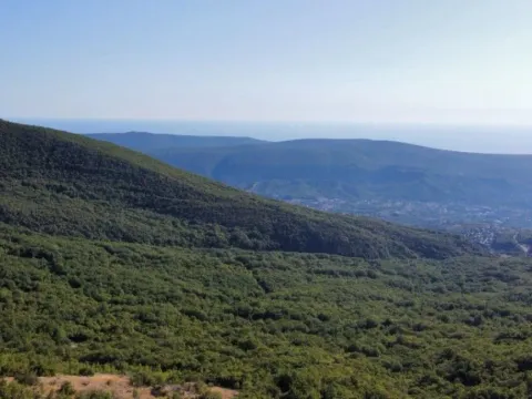 Prodaja, plac, 26417m², Čavori, Kotor - image 2