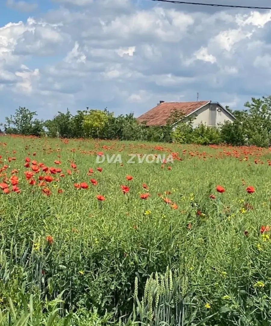 Sale, house, 37m², Čenej, Novi Sad Sve Podlokacije